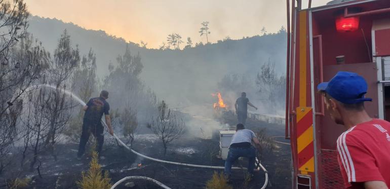 Balıkesir'de yangını müdahale eden ekipler, arılar nedeniyle zor anlar yaşadı