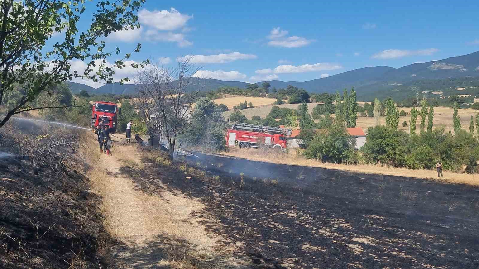 Domaniç’te barakada çıkan yangın tarlalara sıçradı