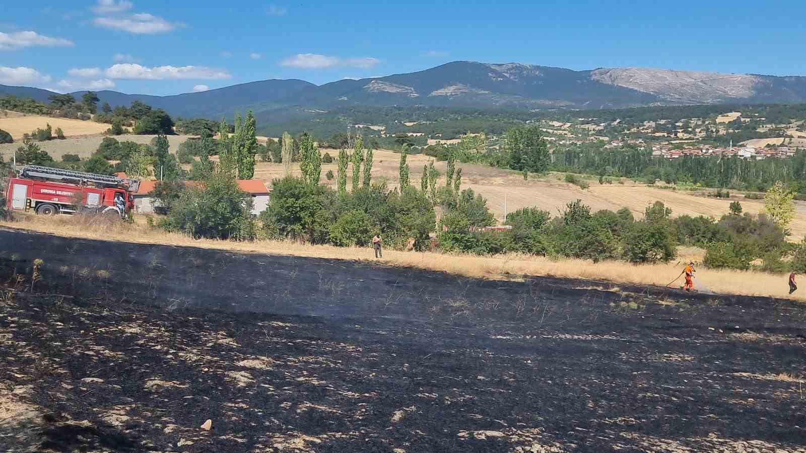 Domaniç’te barakada çıkan yangın tarlalara sıçradı