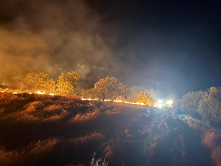 Erzincan'da çıkan örtü yangını 4 saatte söndürüldü