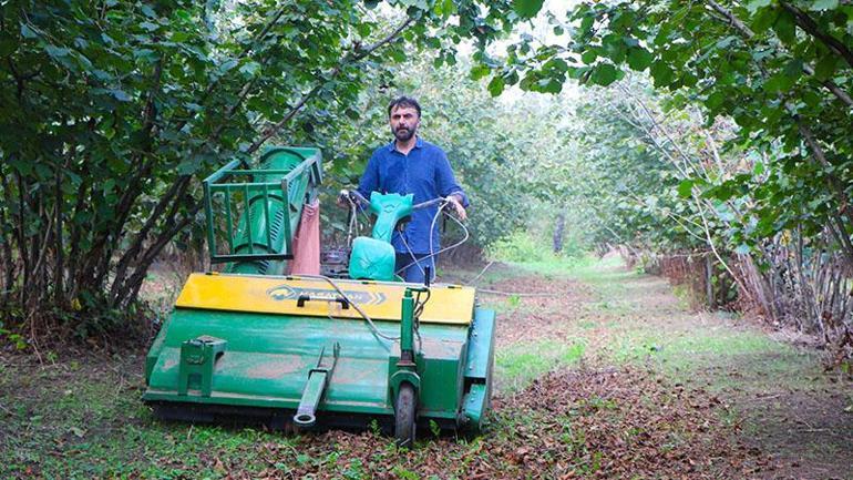 Fındık bahçelerine zarar veren ‘kahverengi kokarca’ya şarkı yaptı