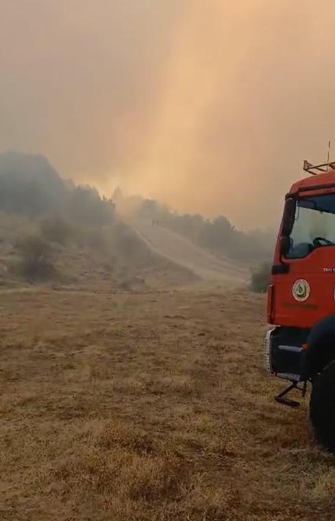 Uşak'ta orman yangını