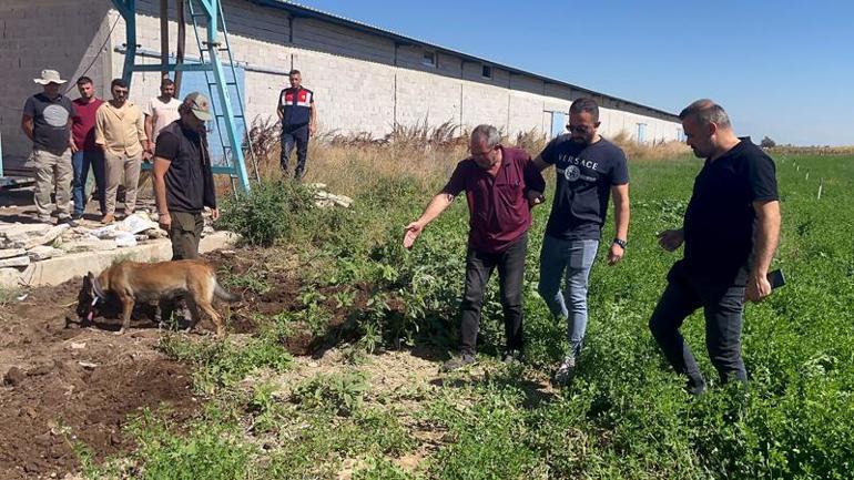 Eşinin dayısını öldürüp, başında ağladıktan sonra cesedini 3 metrelik çukura gömmüş