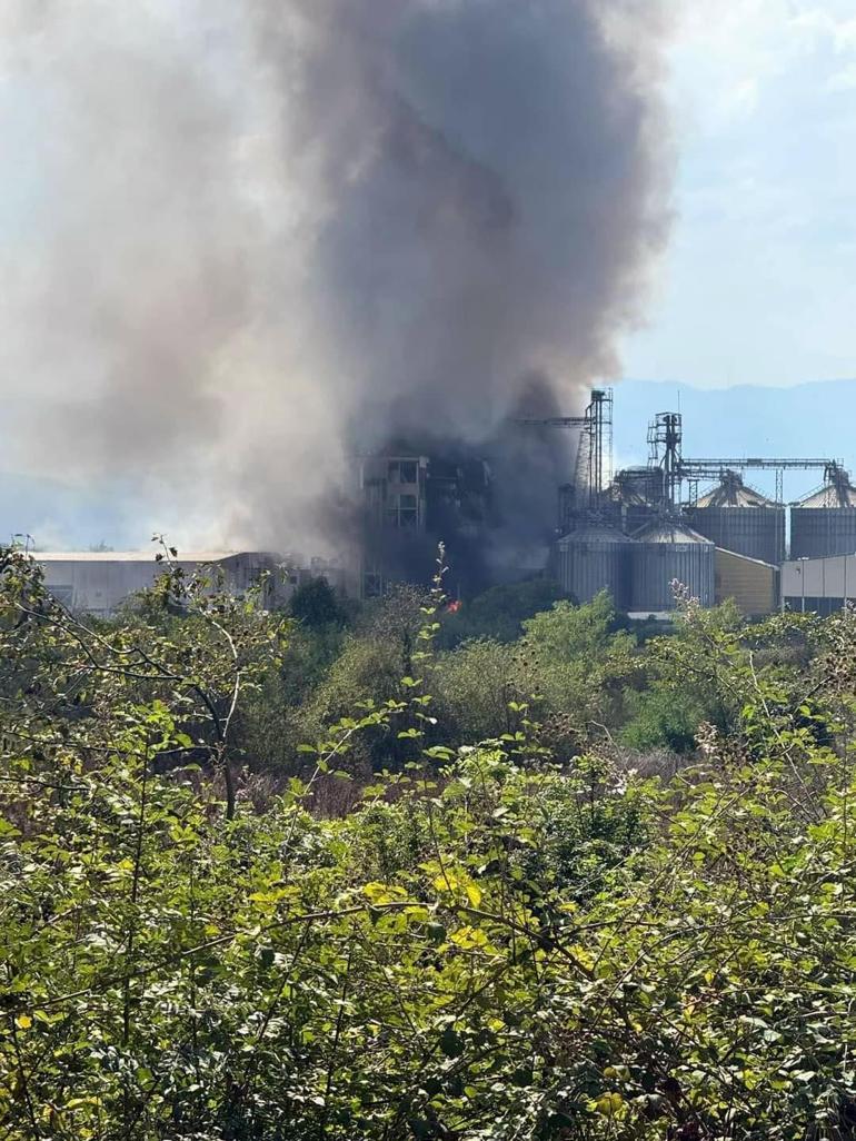 Sakarya’da makarna fabrikasında patlama: 20 yaralı