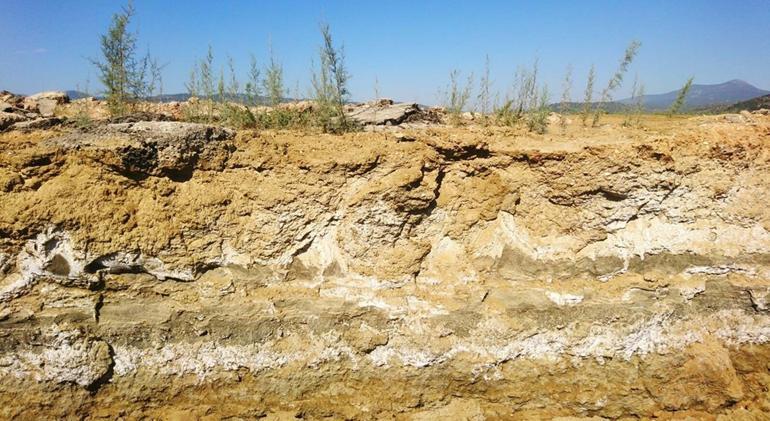 İklim değişikliğiyle toprakta artan tuz miktarına karşı 'örtü altı tarım' önerisi