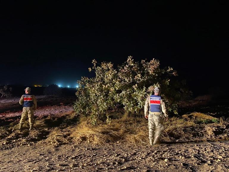 Şanlıurfa’da fıstık hırsızlığına 6 gözaltı