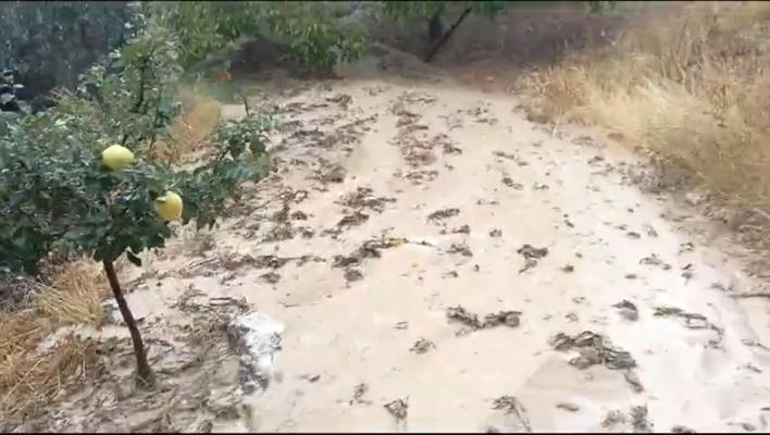 Elazığ’da sağanak ve dolu kayısı bahçelerine zarar verdi