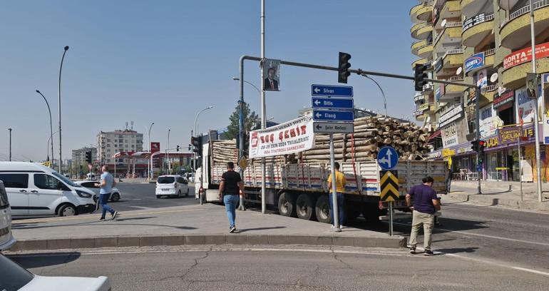 Tomruk yüklü TIR’ın altında kalan yaya öldü