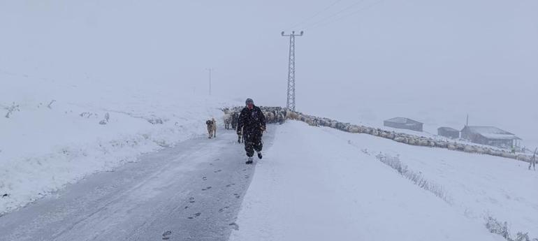 Yaylada kardan mahsur kalan çoban ve sürüsü kurtarıldı