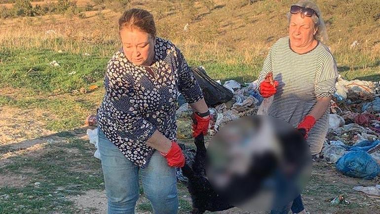 Kırklareli'nde barınakta 17 kedi ve köpek öldü; adli, idari soruşturma başlatıldı