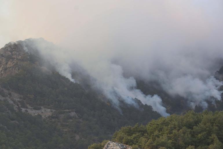 Denizli'de orman yangını 3'üncü gününde