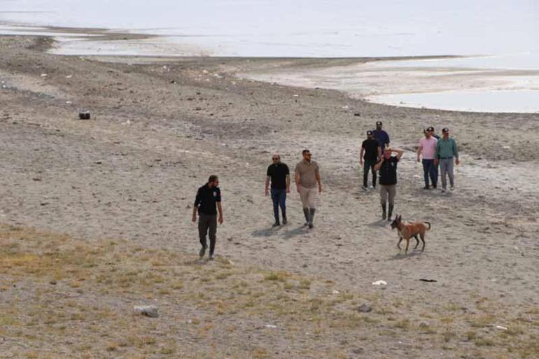 Rojin'i arama çalışmalarında kadavra köpekleri de kullanılıyor