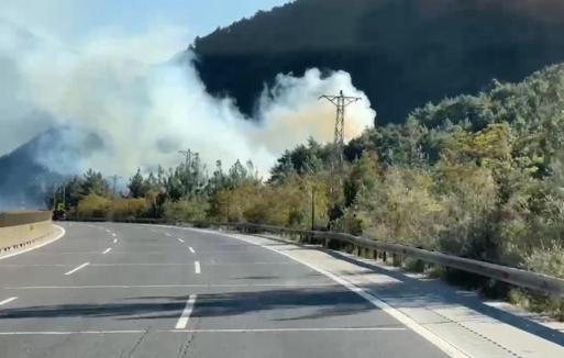 Mersin'de orman yangını