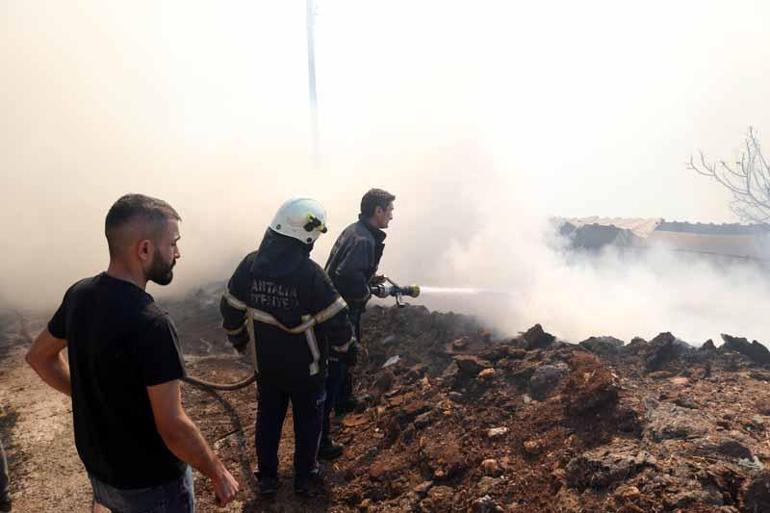 Ağıl yangınında 50'ye yakın keçi ve koyun öldü