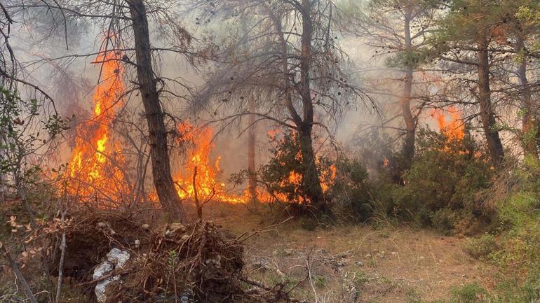 Çanakkale'de 4 hektarlık ormanın zarar gördüğü yangında 2 kişi gözaltına alındı