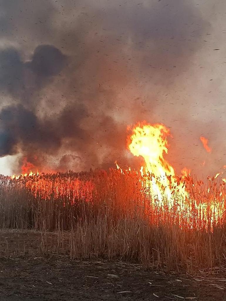 Eber Gölü'ndeki sazlık yangınına havadan müdahale