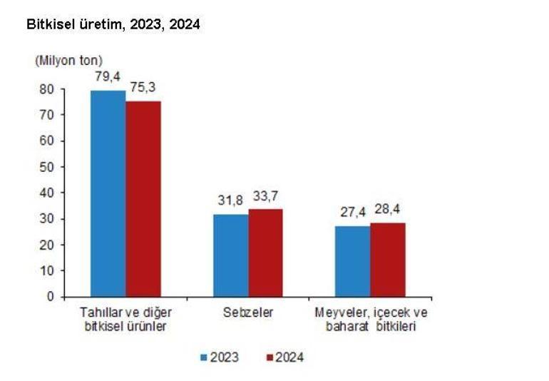 TÜİK: Tarla üretimi azalacak, meyve-sebze üretimi artacak