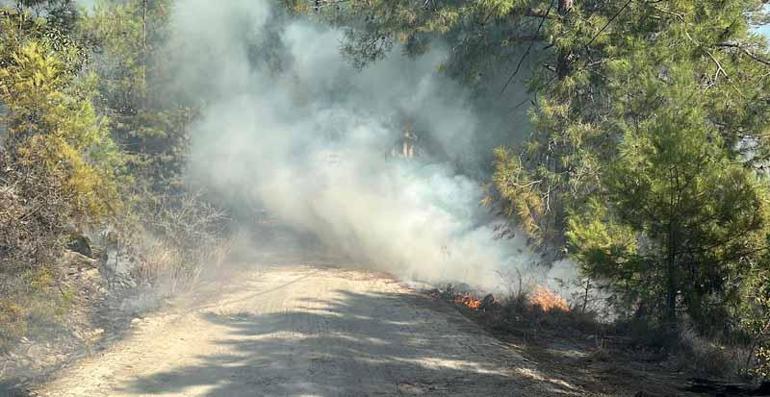 Antalya'da orman yangını