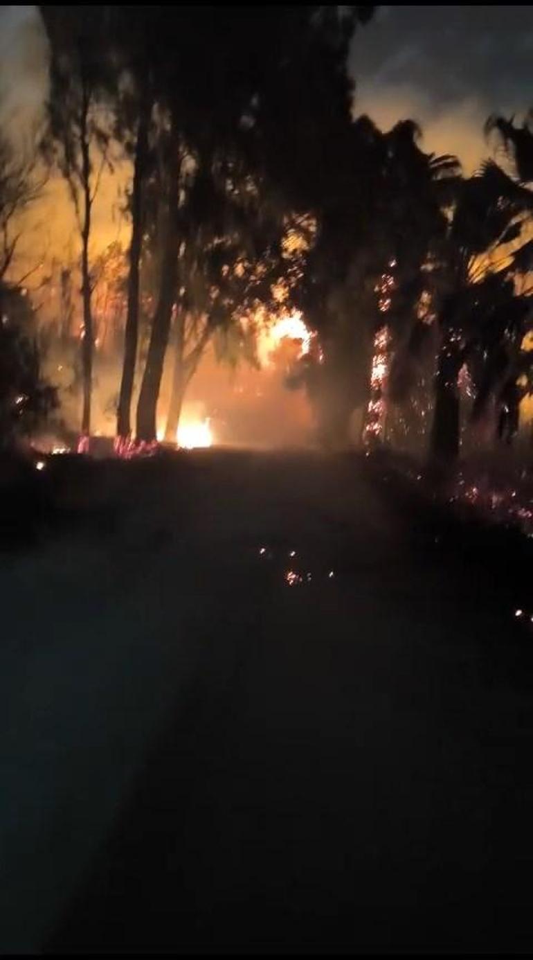 Adana'da Seyhan Baraj Gölü kıyısındaki ağaçlıkta yangın