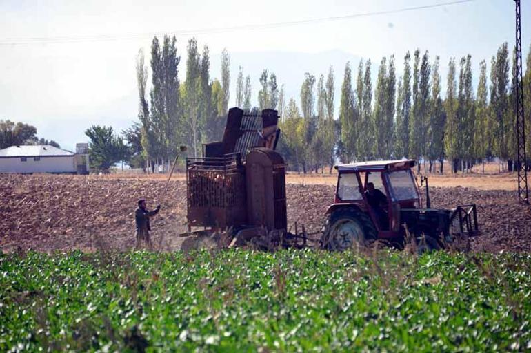 Çiftçi sulama yöntemini değiştirdi, şeker pancarında rekolte arttı