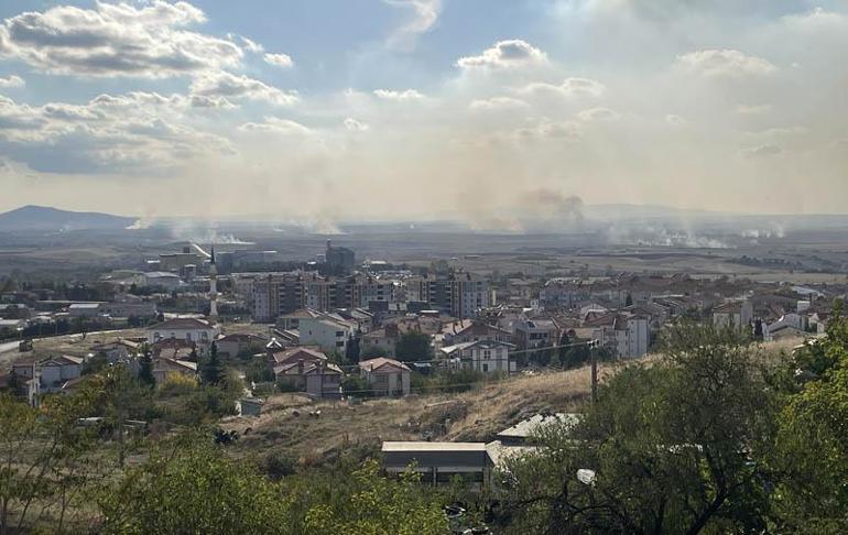 'Anız yakılması ciddi bir sağlık tehdidi haline geldi'