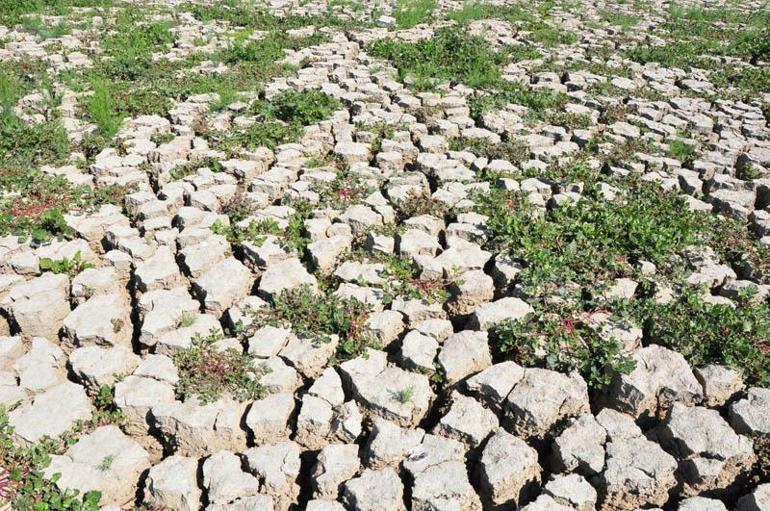 Marmara Gölü'ndeki tarımsal üretim ile ilgili davada karar duruşması