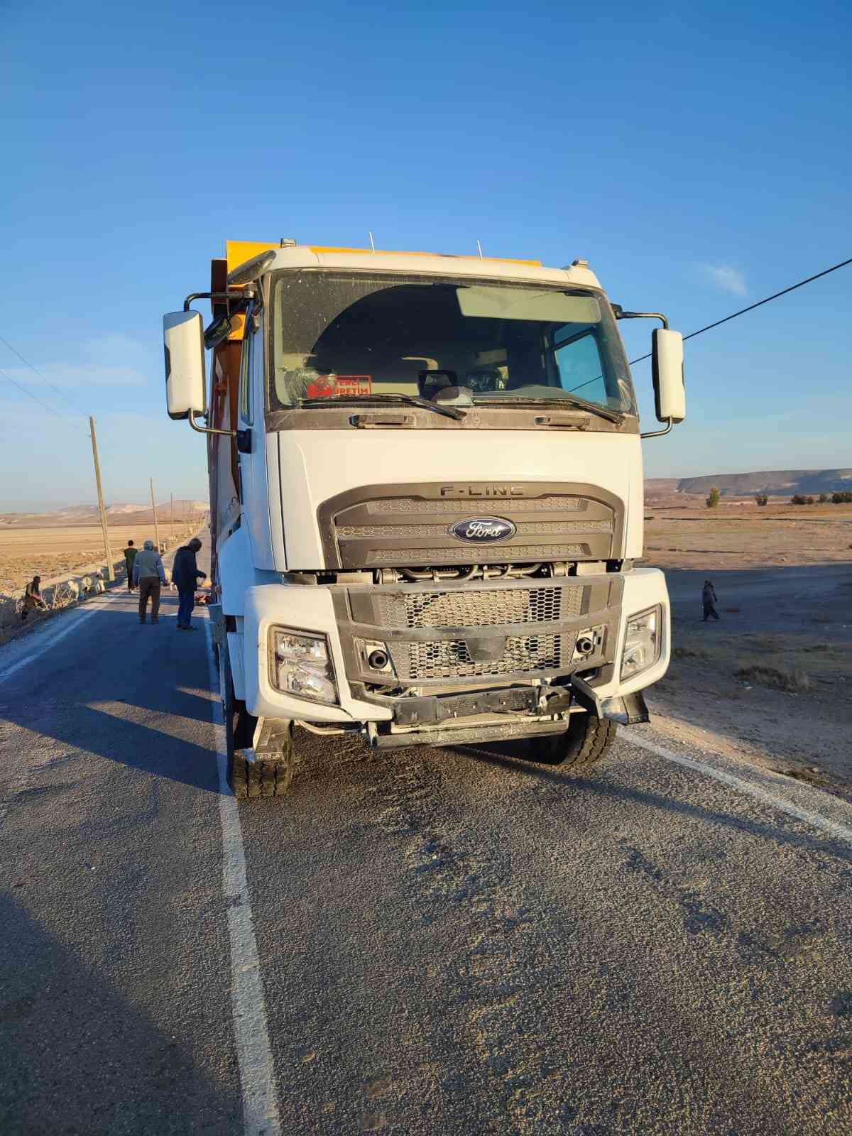 Hafriyat kamyonu sürüye çarptı, 13 koyun telef oldu