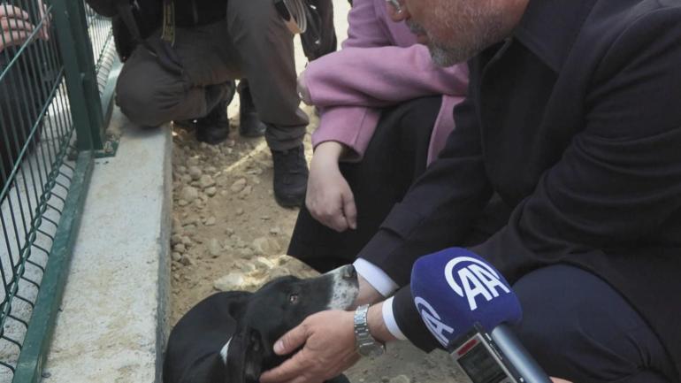 Tarım ve Orman Bakanı Yumaklı, 'Zeytin' isimli köpeği sahiplendi