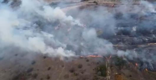 Çanakkale'de orman yangını