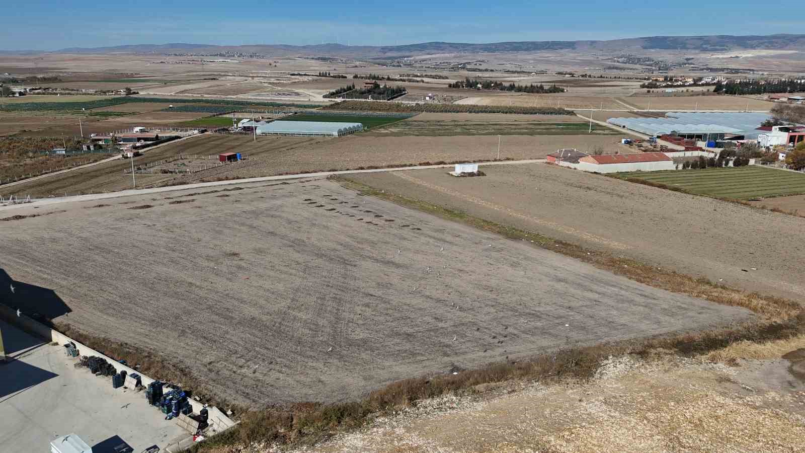 (ÖZEL) Eskişehir’de çiftçiler kuru toprağı ekip, yağmur için dua ediyor