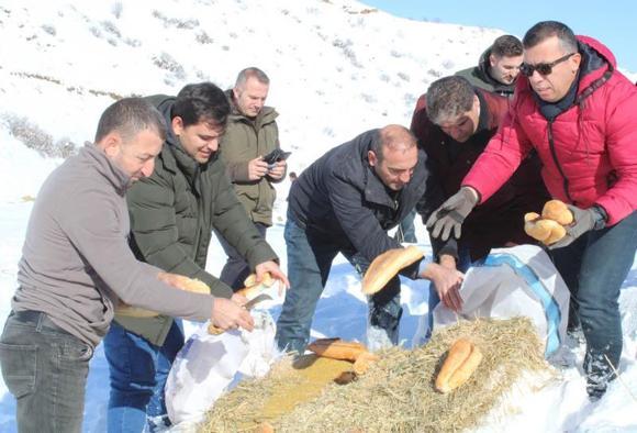 Erzurum'da yaban hayatı için doğaya yem bırakıldı