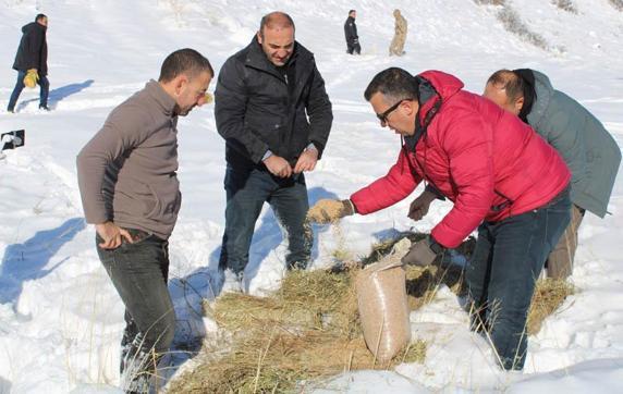 Erzurum'da yaban hayatı için doğaya yem bırakıldı