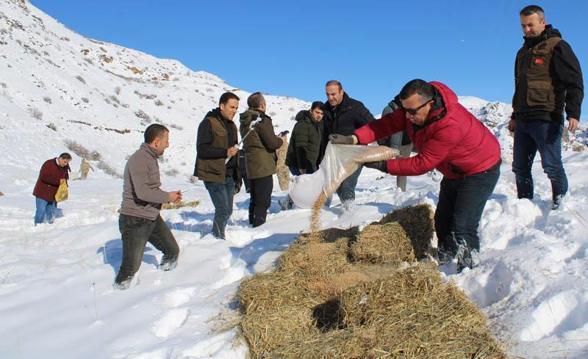 Erzurum'da yaban hayatı için doğaya yem bırakıldı