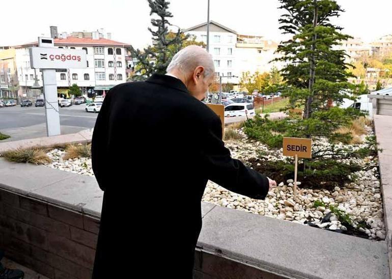 MHP Genel Merkezi önüne 'Biz kardeşiz' ağaçları dikildi