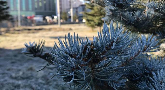 Kura Nehri'nin yüzeyi buz tuttu