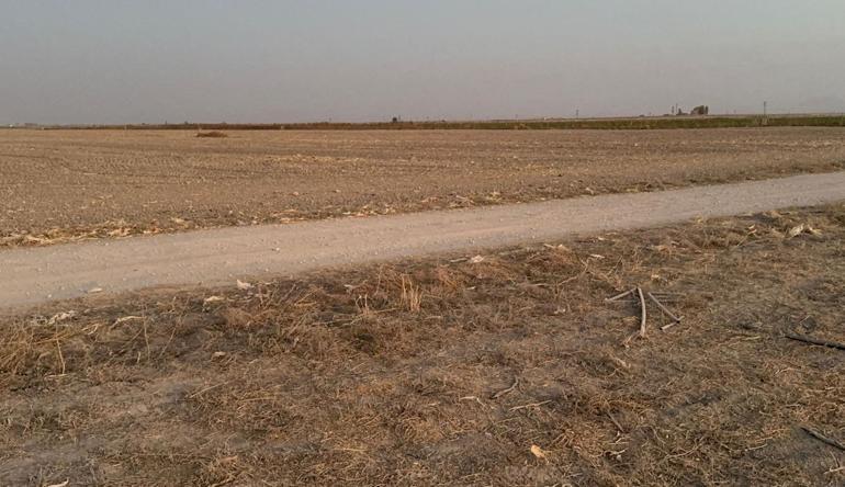 Konuşma bahanesiyle boş araziye götürdüğü eski eşini bıçakla öldürüp, kendisini ağır yaraladı