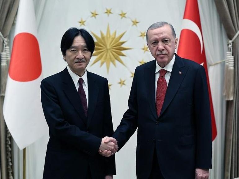 Cumhurbaşkanı Erdoğan, Japonya Veliaht Prensi Fumihito'yu kabul etti