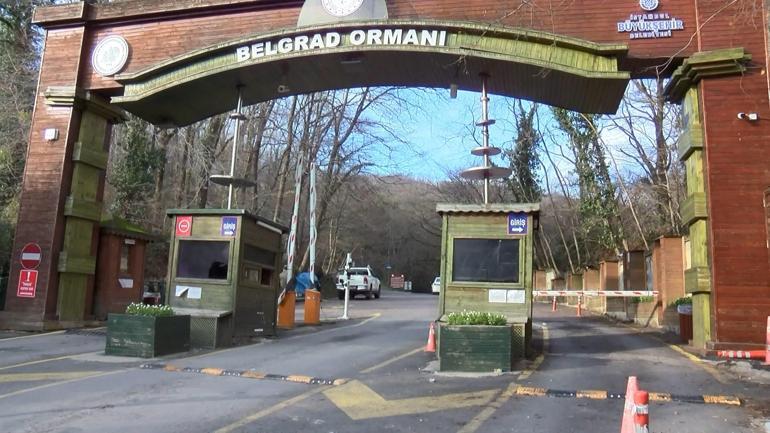 Belgrad Ormanı'ndaki İBB tabelaları kaldırıldı; DKMP tabelaları asıldı