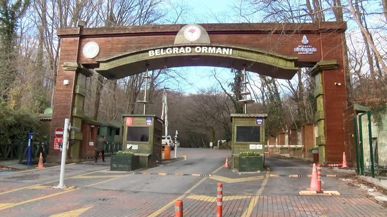 Belgrad Ormanı'ndaki İBB tabelaları kaldırıldı; DKMP tabelaları asıldı