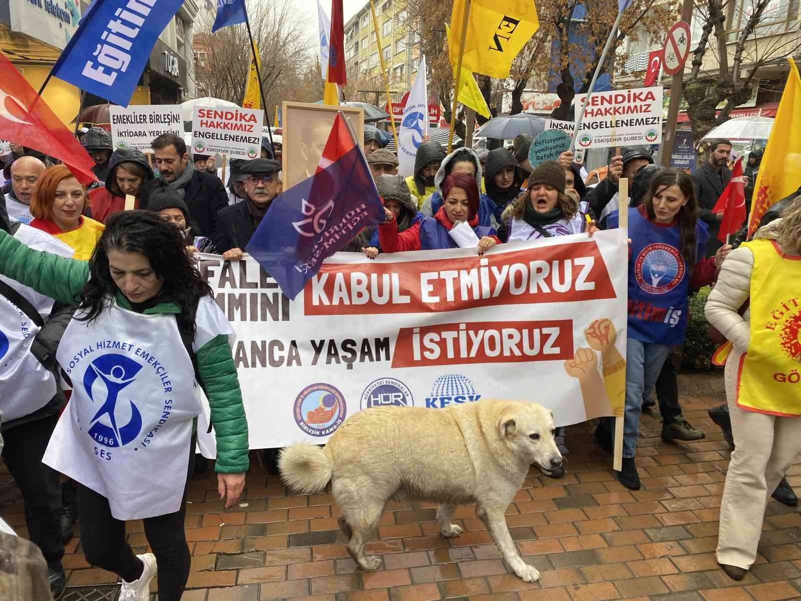 Bu köpekler her etkinlikte var