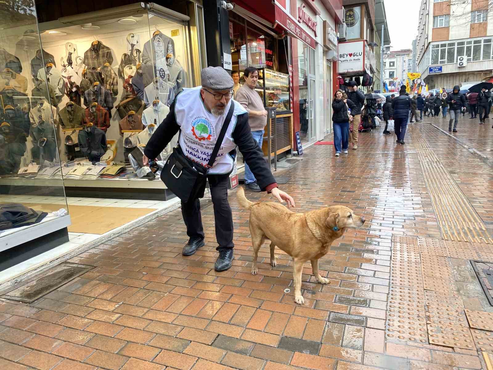 Bu köpekler her etkinlikte var