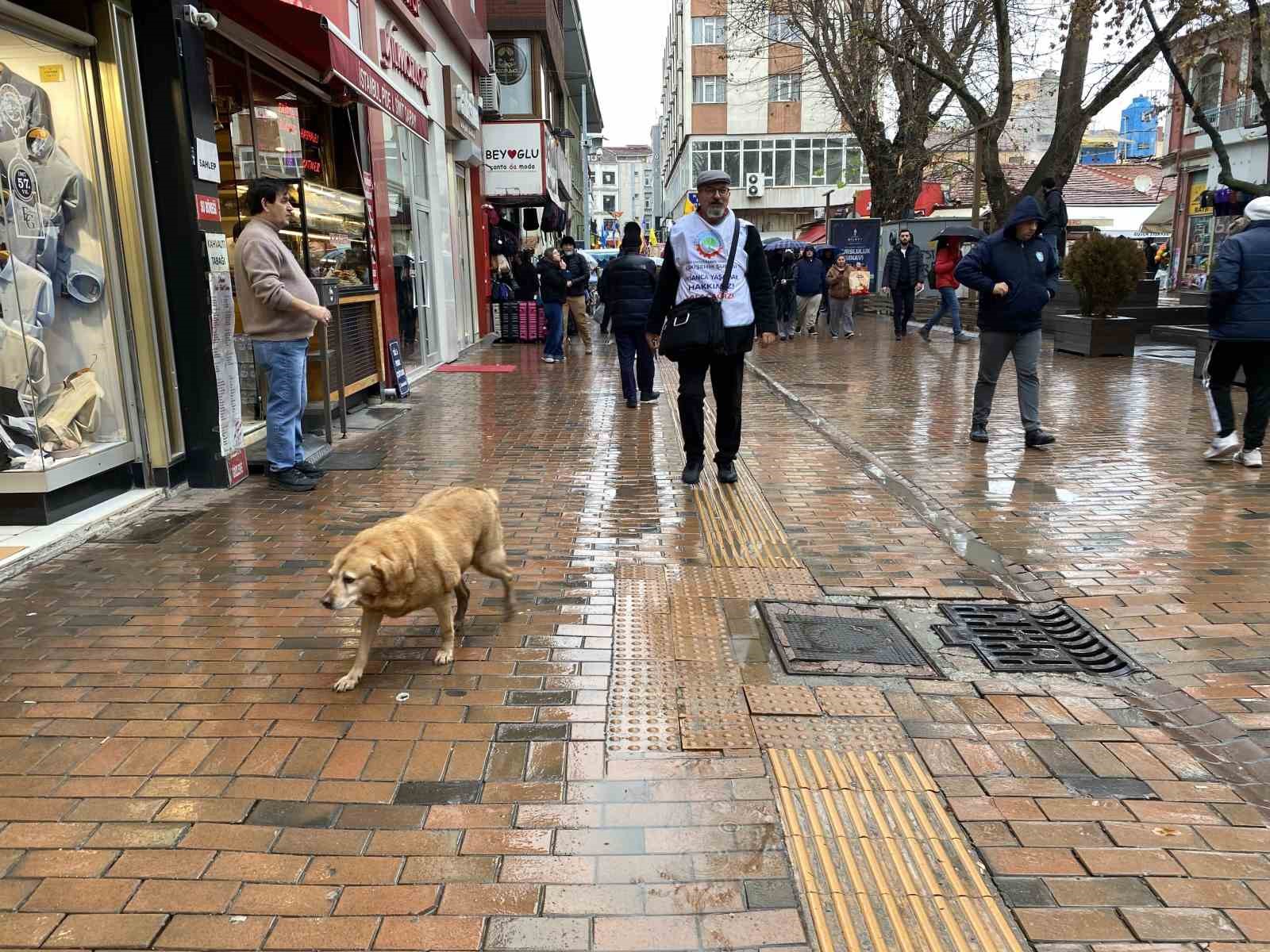 Bu köpekler her etkinlikte var