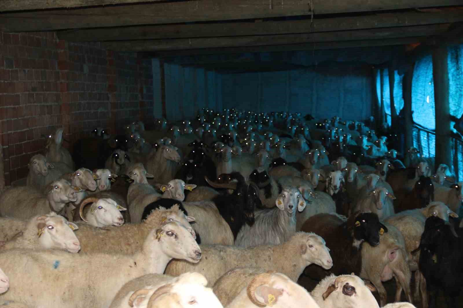 Dedesinden babasına, ondan da kendine miras kalan mesleği 15 yıldır devam ettiriyor