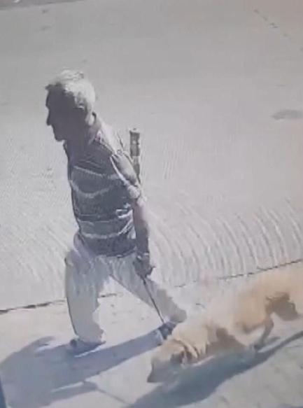 Bakırköy'de köpeğe istismar davasında karar: 1 yıl 6 ay hapis cezası