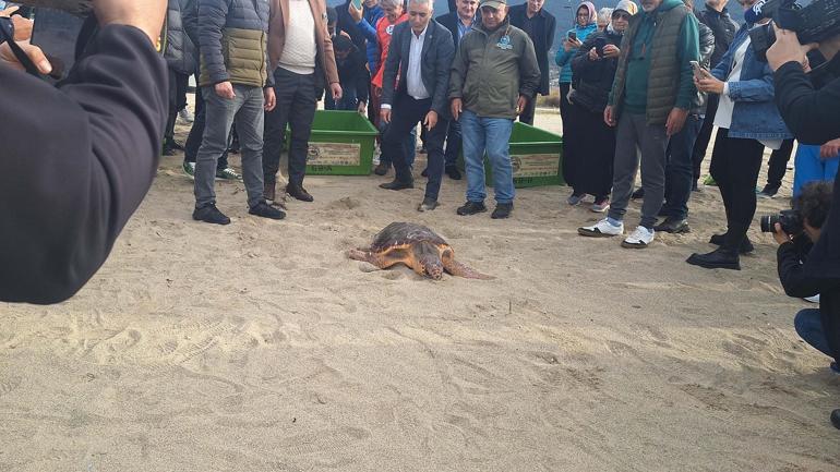 Takip cihazı takılan kaplumbağa 'Güzel İzmir'in rotasını 13 ayda 18 bin kişi görüntüledi