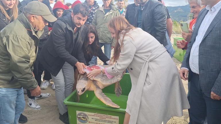 Takip cihazı takılan kaplumbağa 'Güzel İzmir'in rotasını 13 ayda 18 bin kişi görüntüledi