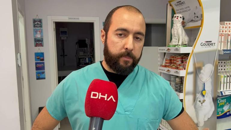 Beylikdüzü'nde ölmek üzere olan yavrusunu veterinere getirdi; o anlar kamerada