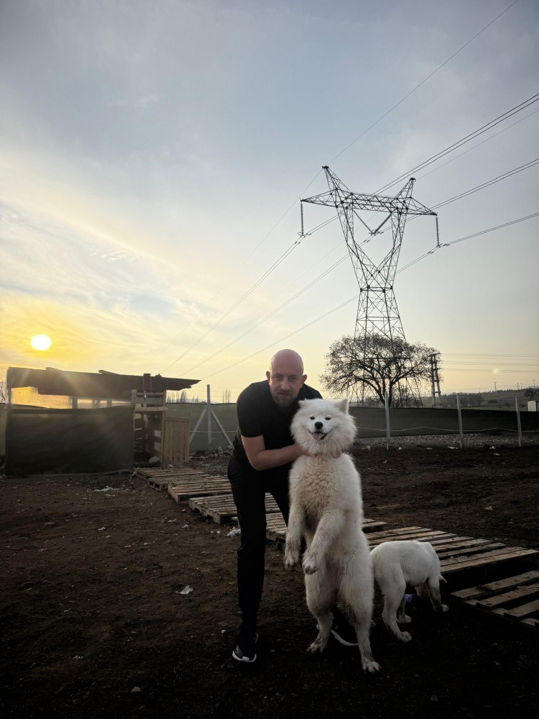 Köpeğini bulana 50 bin TL vereceğini duyuran adamın peşini dolandırıcılar bırakmıyor