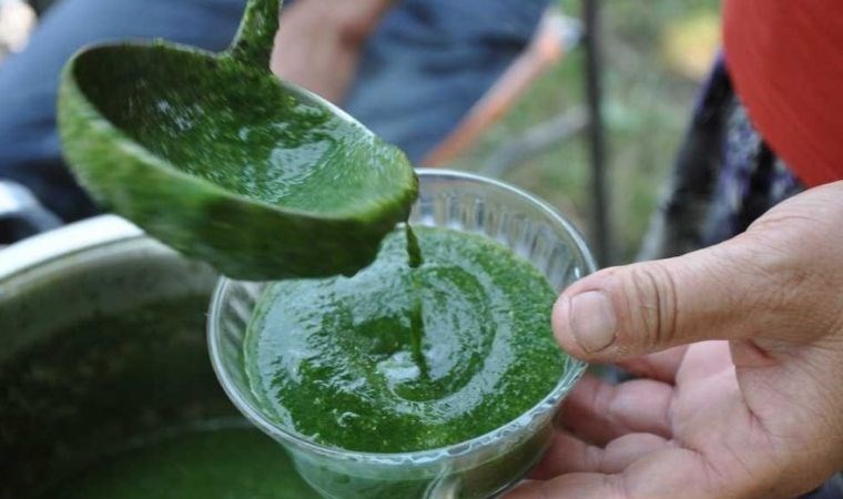 Doğanın şifası sofranızda: Isırgan otu çorbası