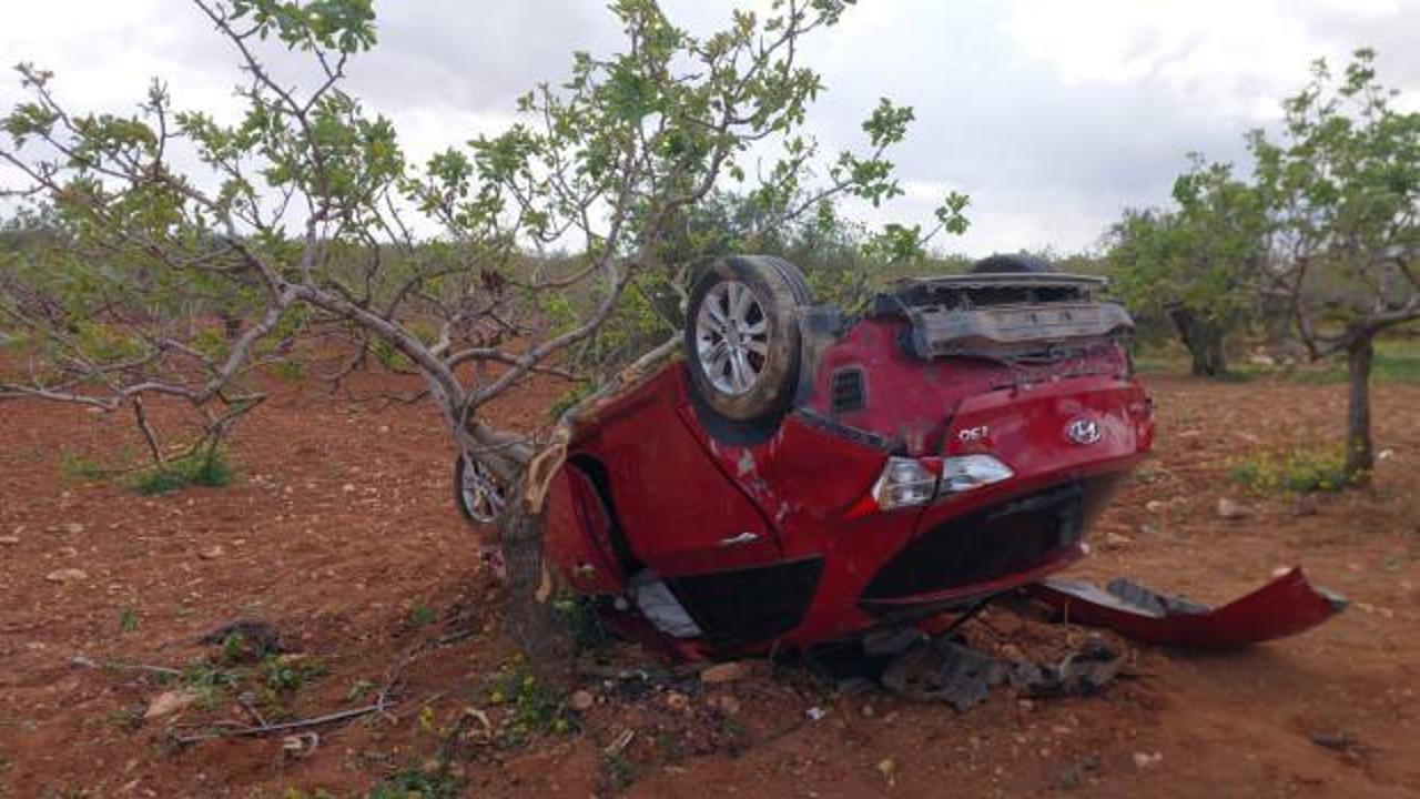Lastiği patlayan otomobil fıstık bahçesine uçtu: Ölü ve yaralılar var!